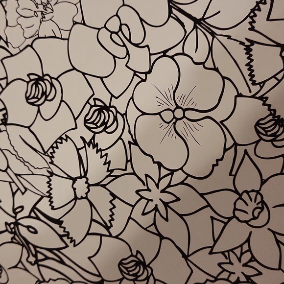 NWT The Creative Coloring Book - Picture 15 of 17